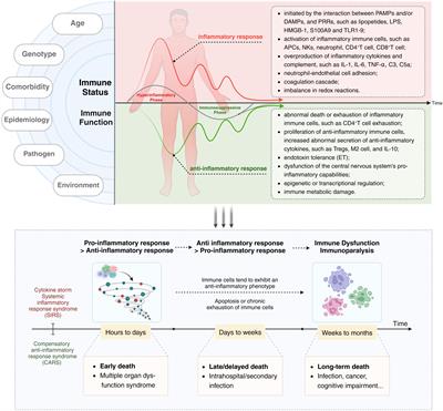 Immunotherapy in the context of sepsis-induced immunological dysregulation
